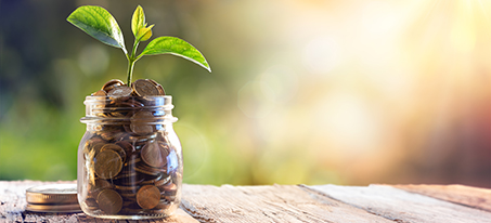 jar with coin in it and a plant sprouting